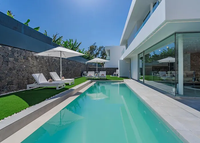 Estándar 2 - Casangular By Upper