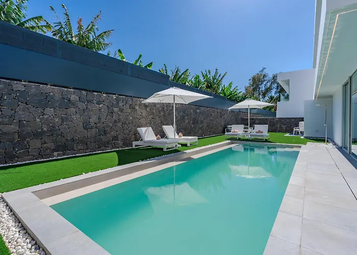 Estándar 2 - Casangular By Upper